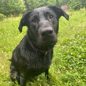 Meet your Posher, Drew